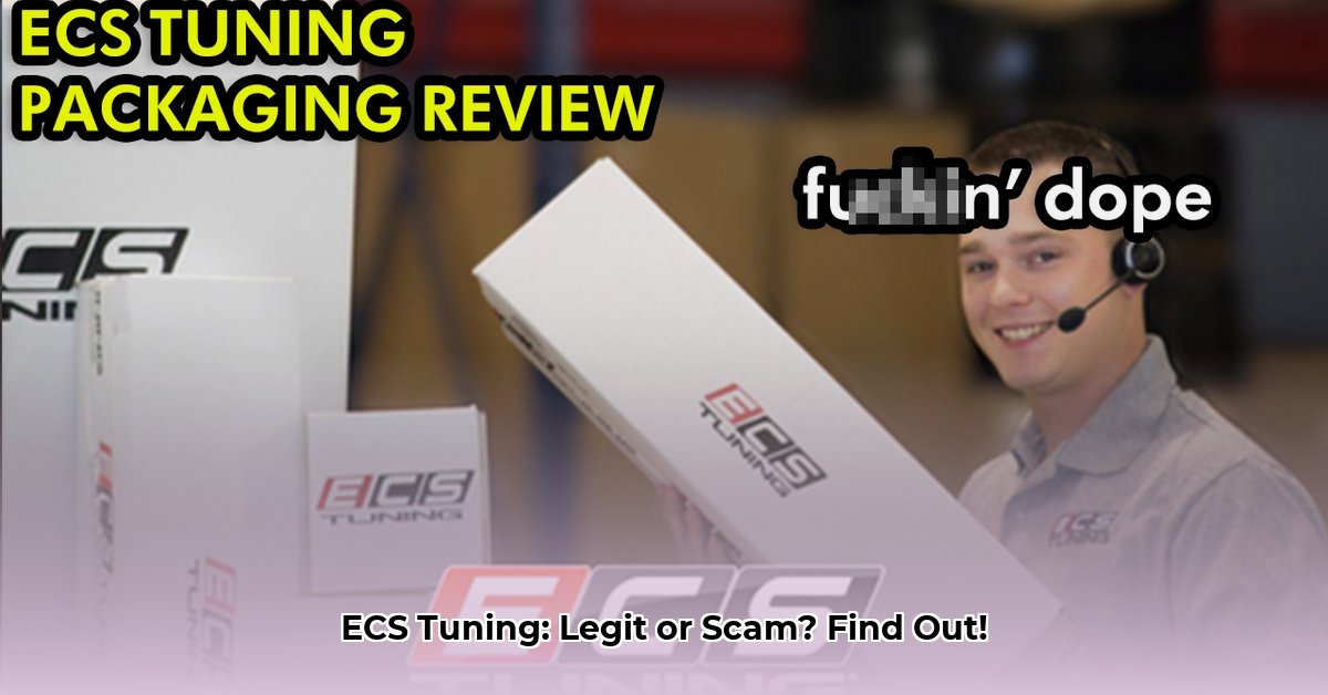 is-ecs-tuning-legit